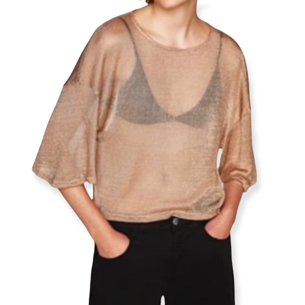 Zara I See You See- Through  Top